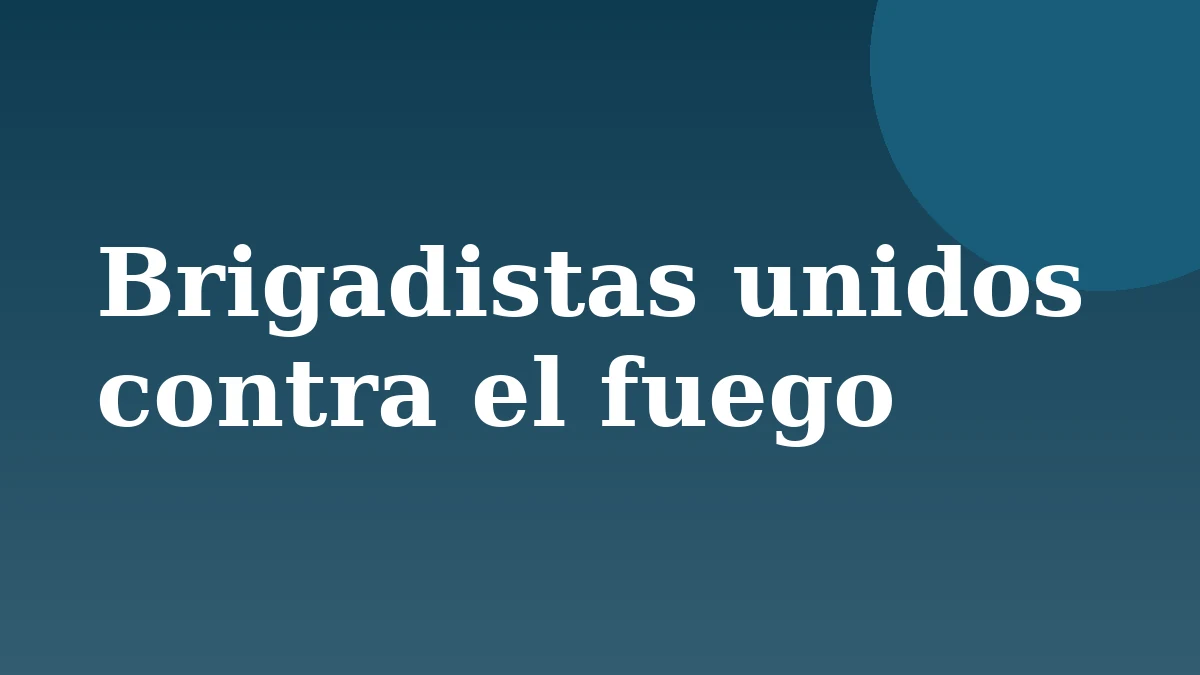 Placa de Rionegrino: Brigadistas unidos contra el fuego