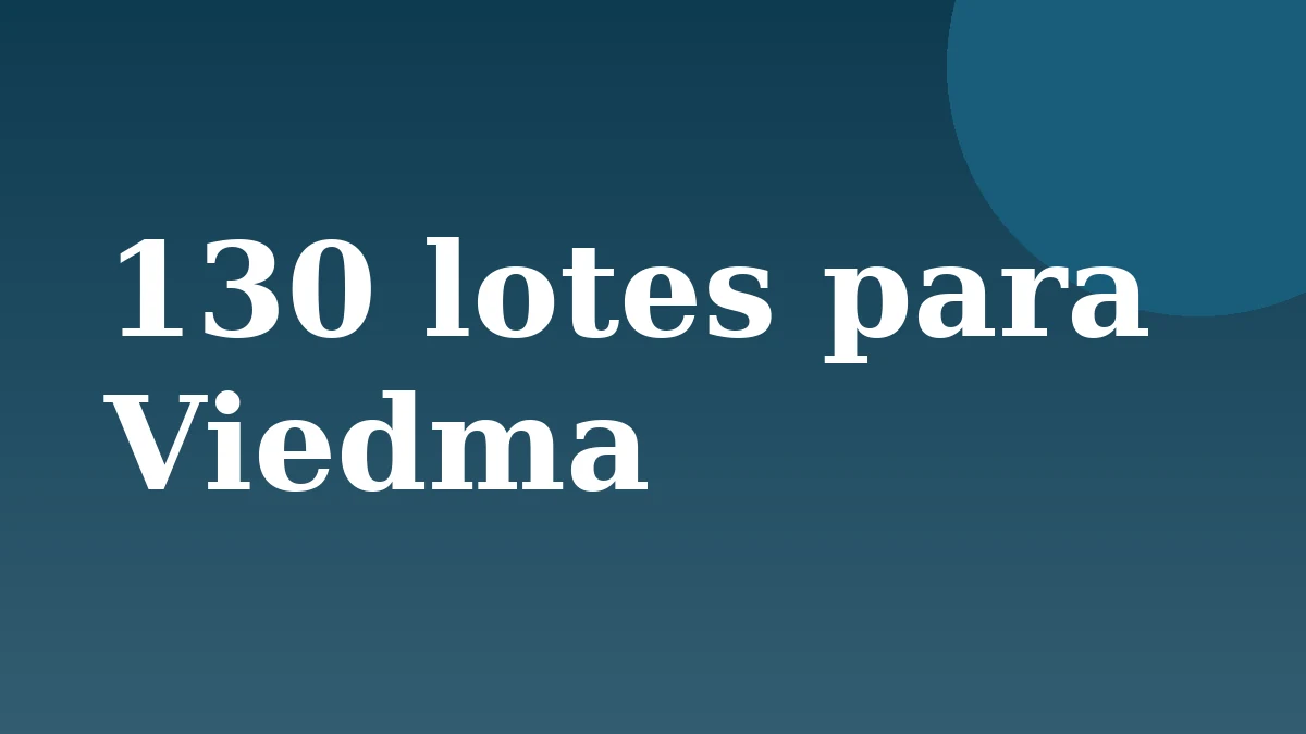 Comenzó la inscripción para 130 lotes en Viedma con filas desde la madrugada