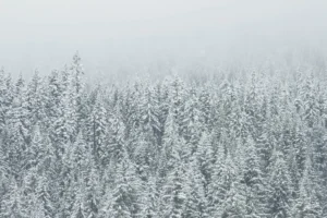 Imagen ilustrativa de una jornada con nevadas