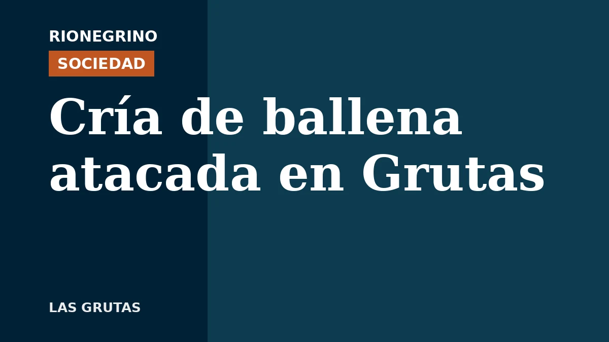 Placa de Rionegrino: Cría de ballena atacada en Grutas
