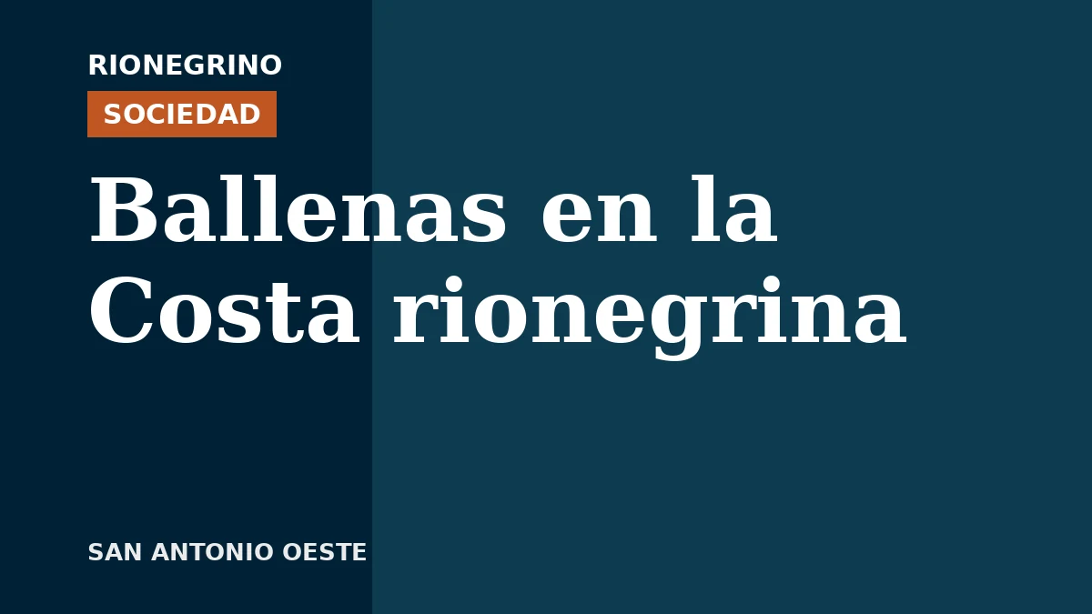 Placa de Rionegrino: Ballenas en la Costa rionegrina