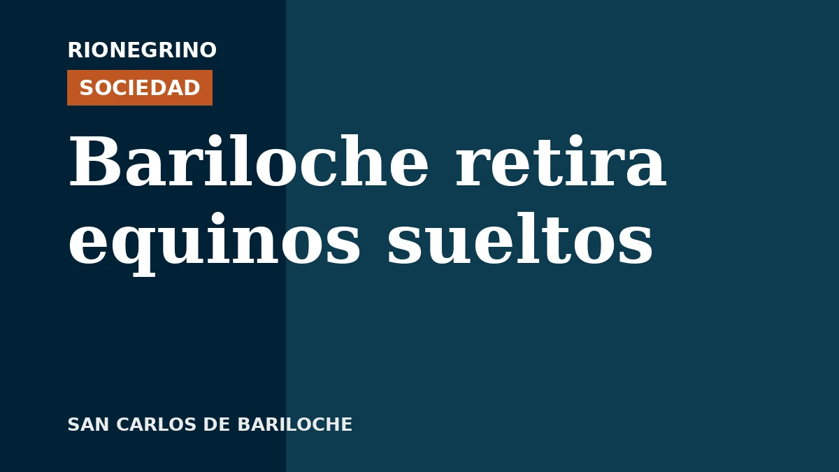 Placa de Rionegrino: Bariloche retira equinos sueltos