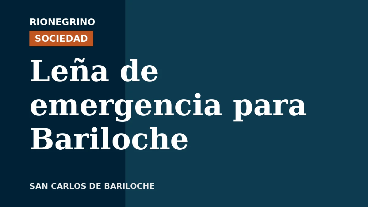 Placa de Rionegrino: Leña de emergencia para Bariloche