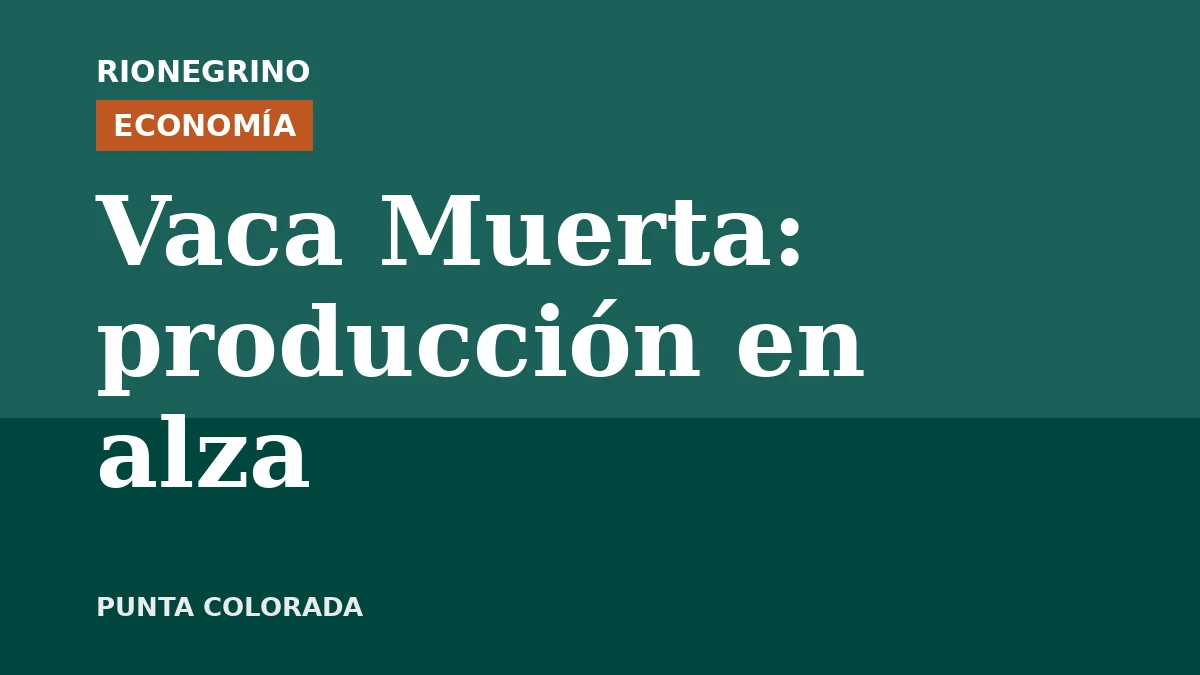 Placa de Rionegrino: Vaca Muerta: producción en alza