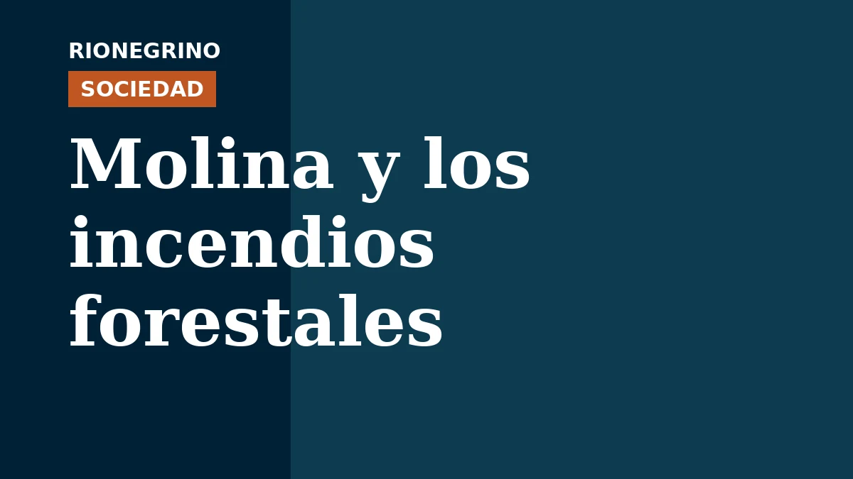 Placa de Rionegrino: Molina y los incendios forestales
