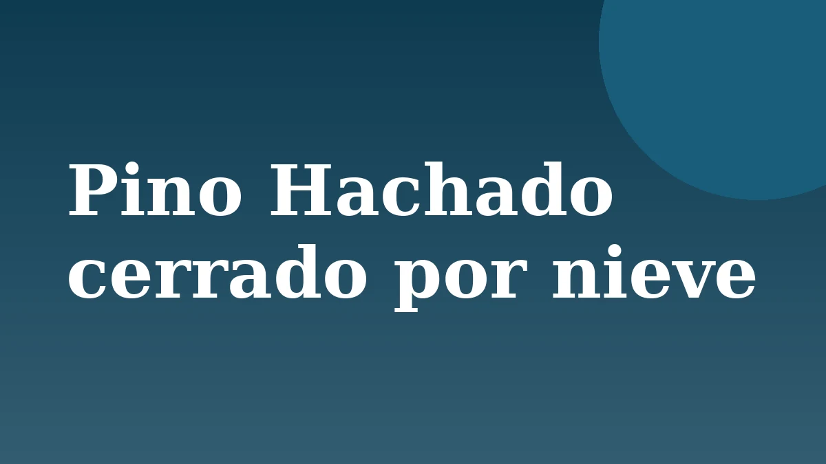 Placa de Rionegrino: Pino Hachado cerrado por nieve