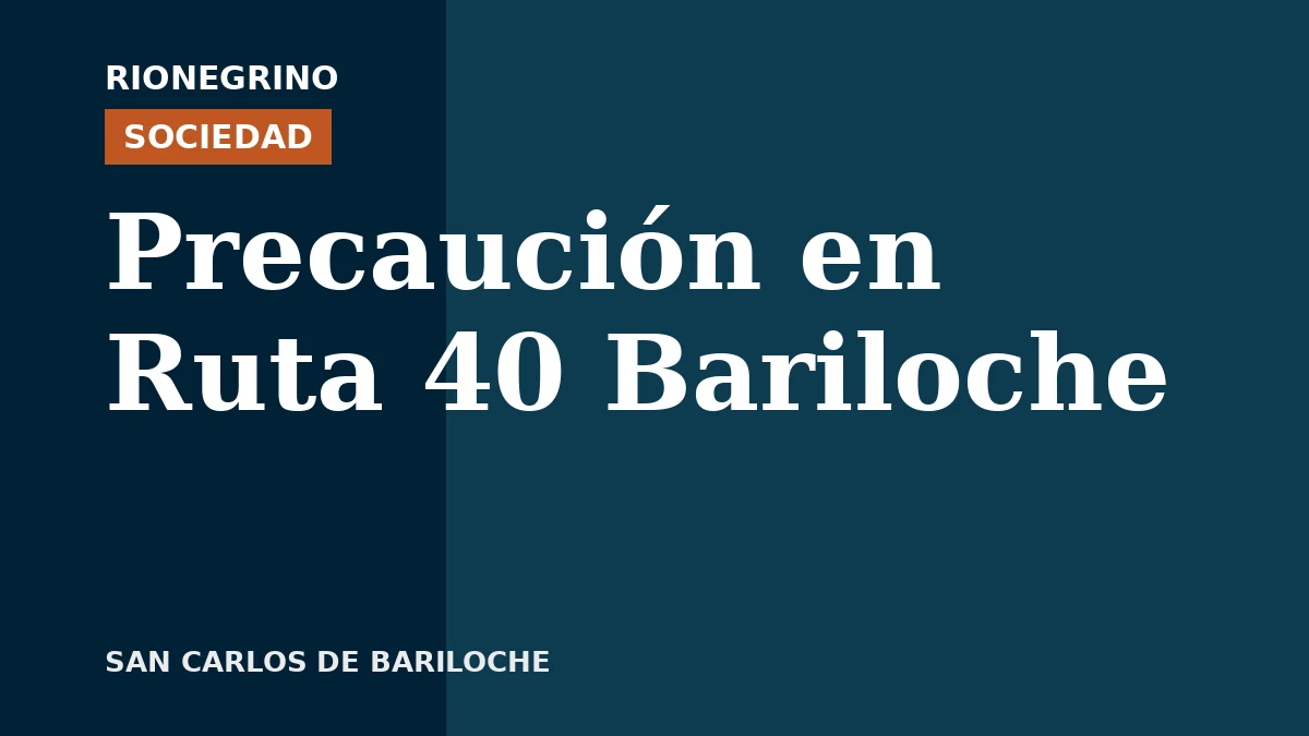 Placa de Rionegrino: Precaución en Ruta 40 Bariloche