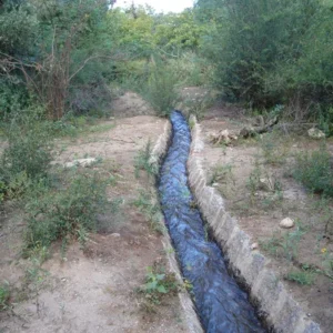 Foto: Jorge luis velazquez · CC BY-SA 3.0 (Wikimedia Commons)