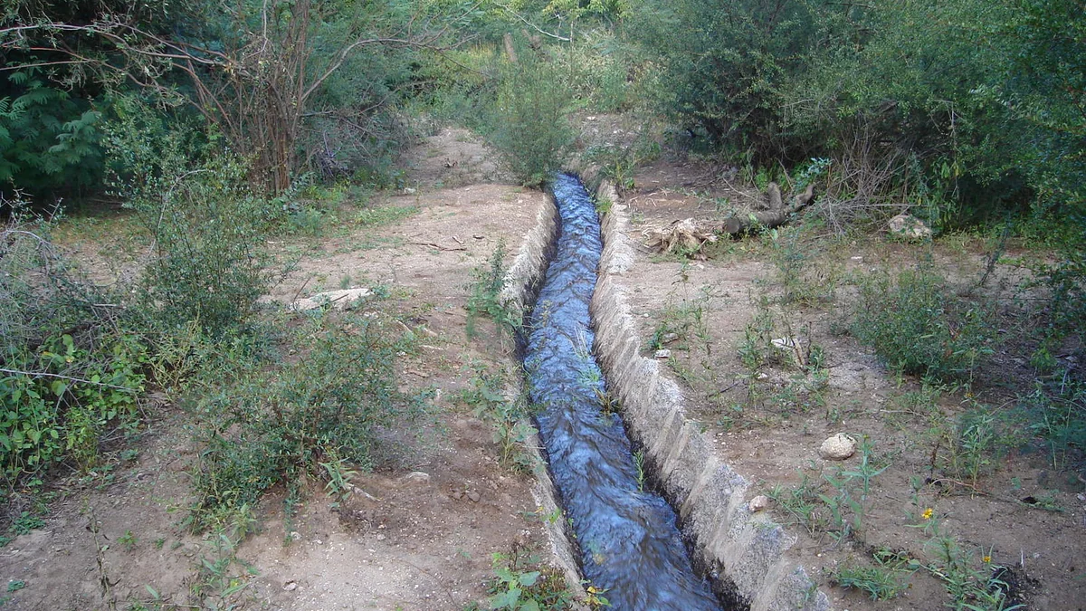 Foto: Jorge luis velazquez · CC BY-SA 3.0 (Wikimedia Commons)