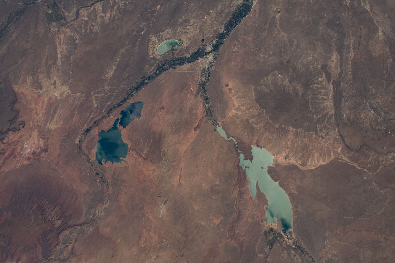 Vista satelital tomada desde la Estación Espacial Internacional del río Negro dividiéndose en los ríos Neuquén y Limay, en Argentina