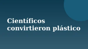 Placa de Rionegrino: Científicos convirtieron plástico en galletas comestibles