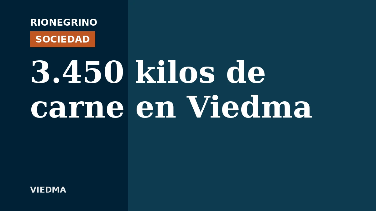 Operativo municipal secuestró 3.450 kilos de carne en Viedma