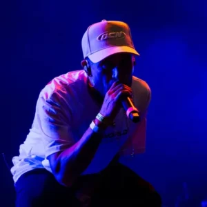 Negro Fino en un show