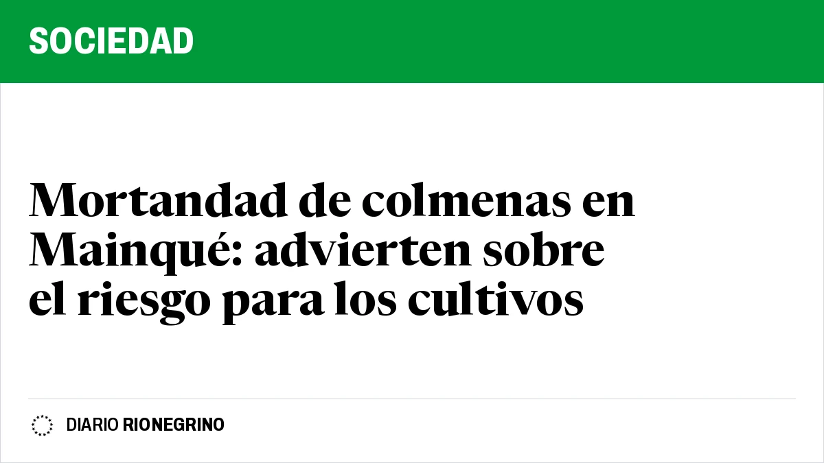 Mortandad de colmenas en Mainqué: advierten sobre el riesgo para los cultivos