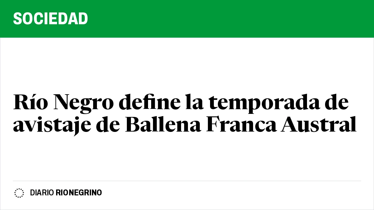 Placa de Rionegrino: Río Negro define la temporada de avistaje de Ballena Franca Austral