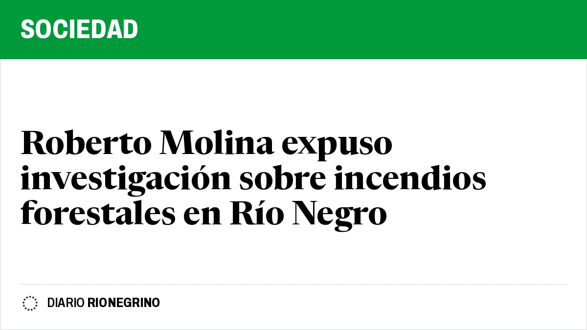 Placa de Rionegrino: Roberto Molina expuso investigación sobre incendios forestales en Río Negro