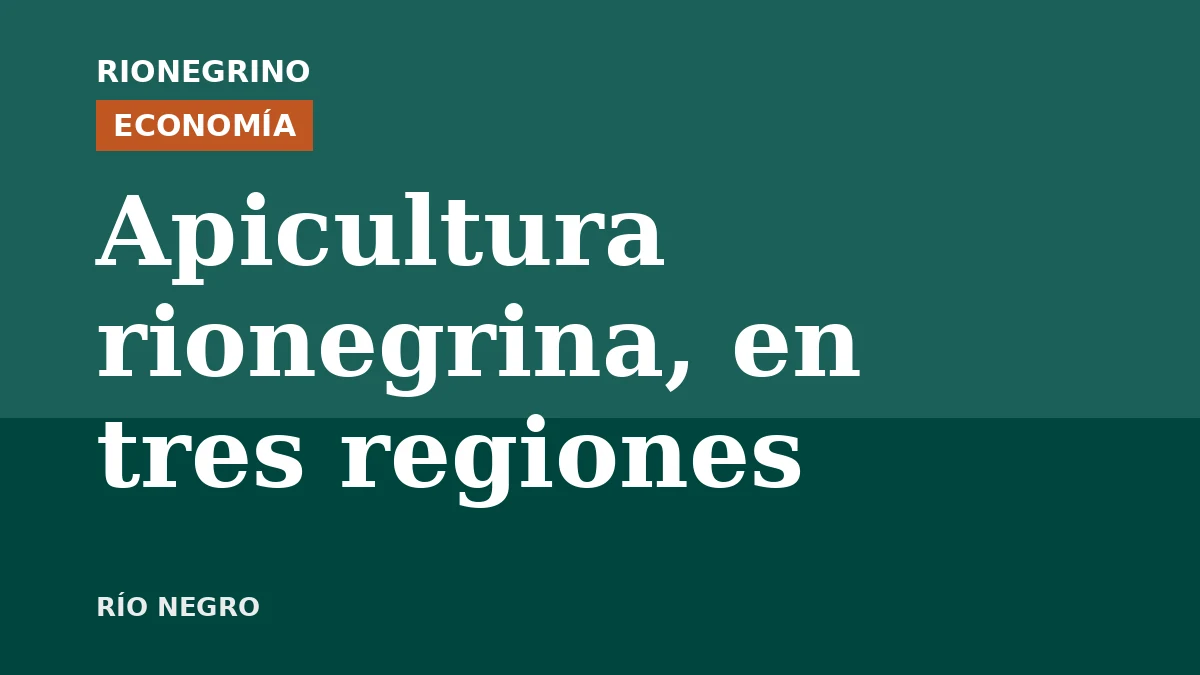 Un instructor del Valle Medio, una docente de Cipolletti y una productora de Jacobacci: las tres caras de la apicultura rionegrina
