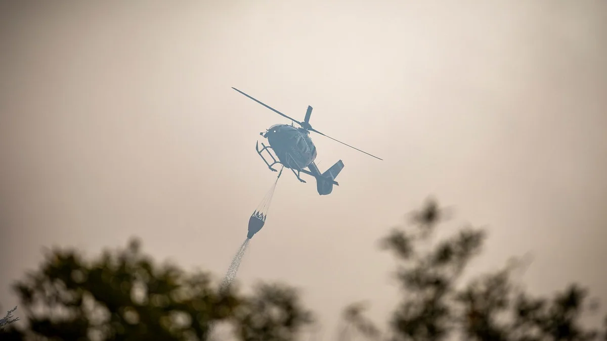 Río Negro integra una comitiva técnica sobre incendios forestales en España hasta el 23 de octubre