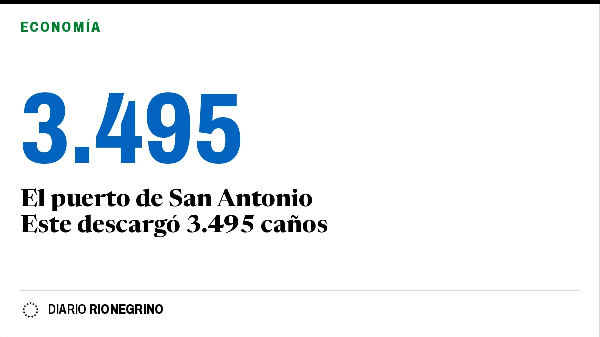 Placa de Rionegrino: El puerto de San Antonio Este descargó 3.495 caños