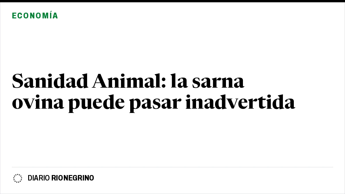 Placa de Rionegrino: Sanidad Animal: la sarna ovina puede pasar inadvertida