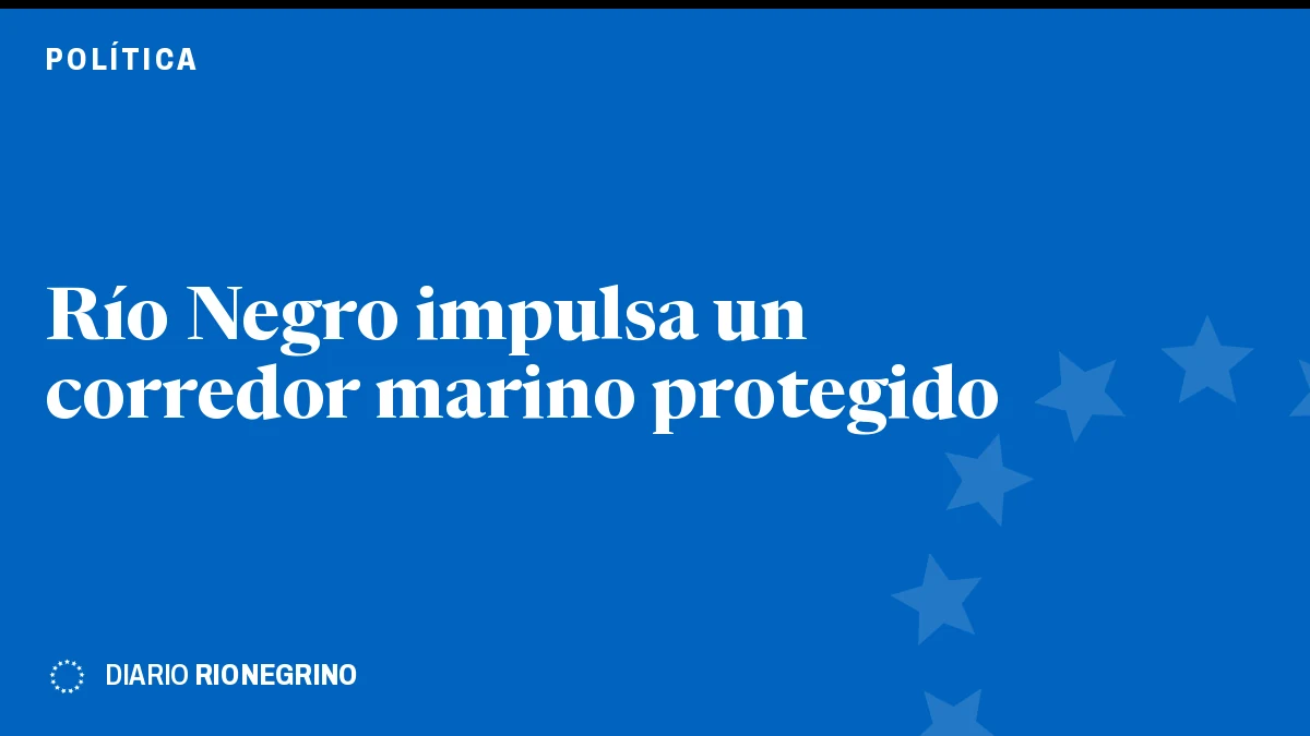 Placa de Rionegrino: Río Negro impulsa un corredor marino protegido